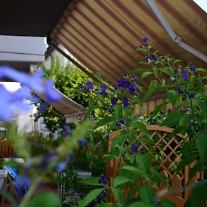  Affittacamere Domus Socolatae Apartments&suites